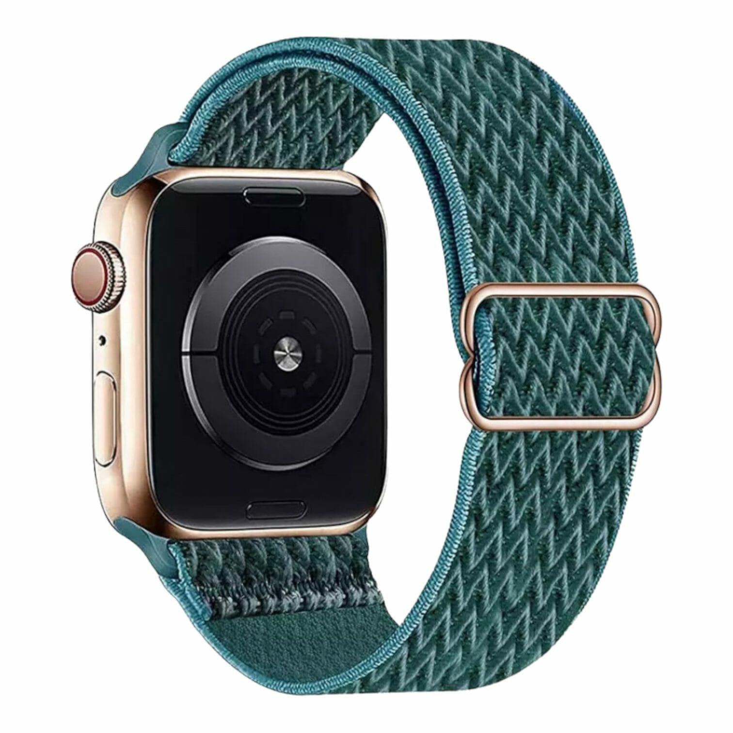 Correa elástica de nylon – Aqua