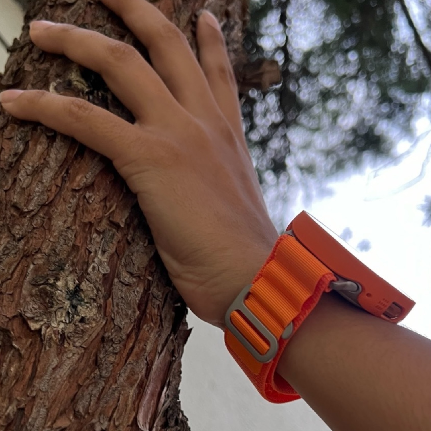 Correa Alpine con Case - Naranja - Imagen 3