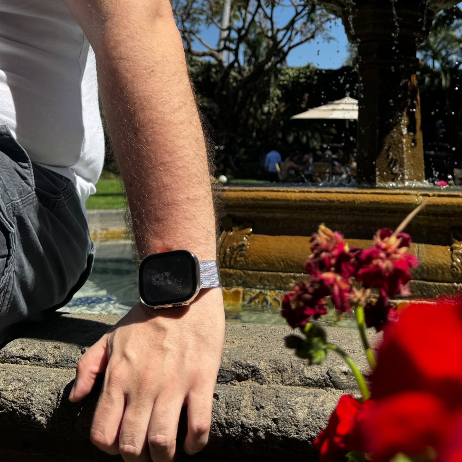 Milanese con Case Ultra- Plata - Imagen 5
